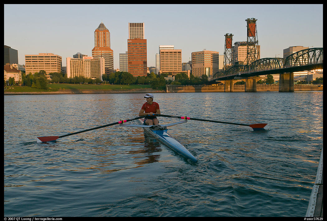 Woman rowing on racing shell and city skyline at sunrise. Portland, Oregon, USA