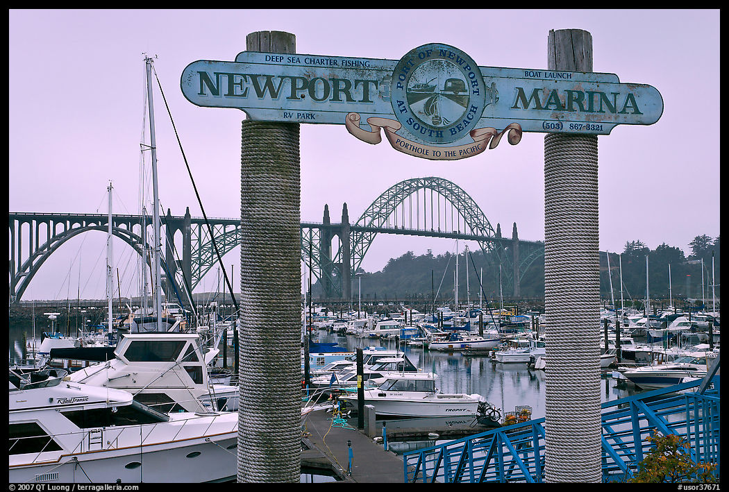 Newport marina and sign, foggy sunrise. Newport, Oregon, USA