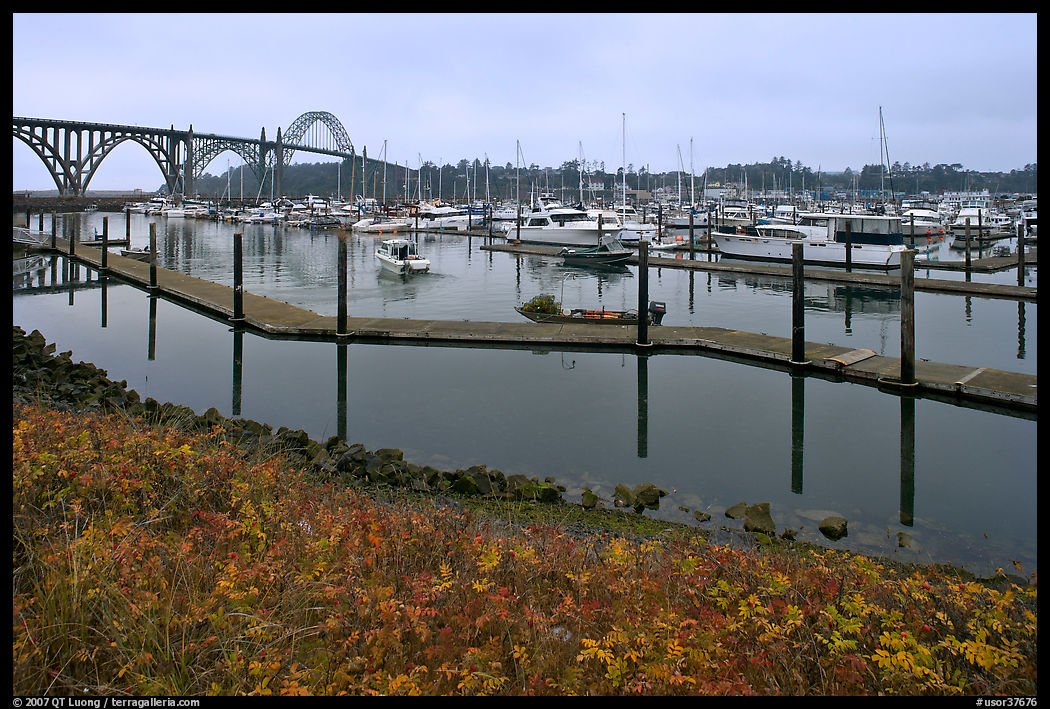 Newport harbor. Newport, Oregon, USA