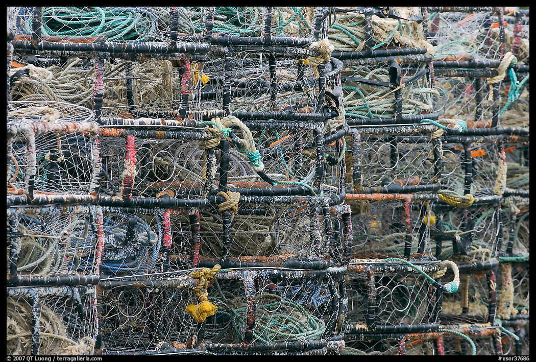 Close-up of crab traps. Newport, Oregon, USA