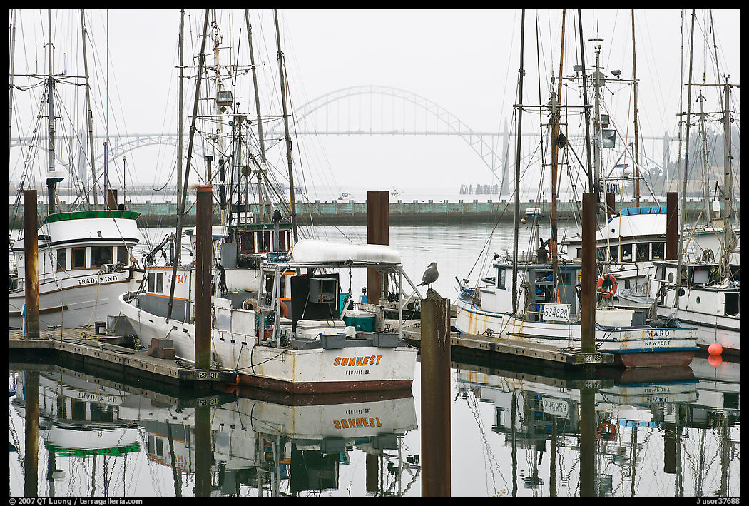 Commercial fishing boats and Yaquina Bay in fog. Newport, Oregon, USA