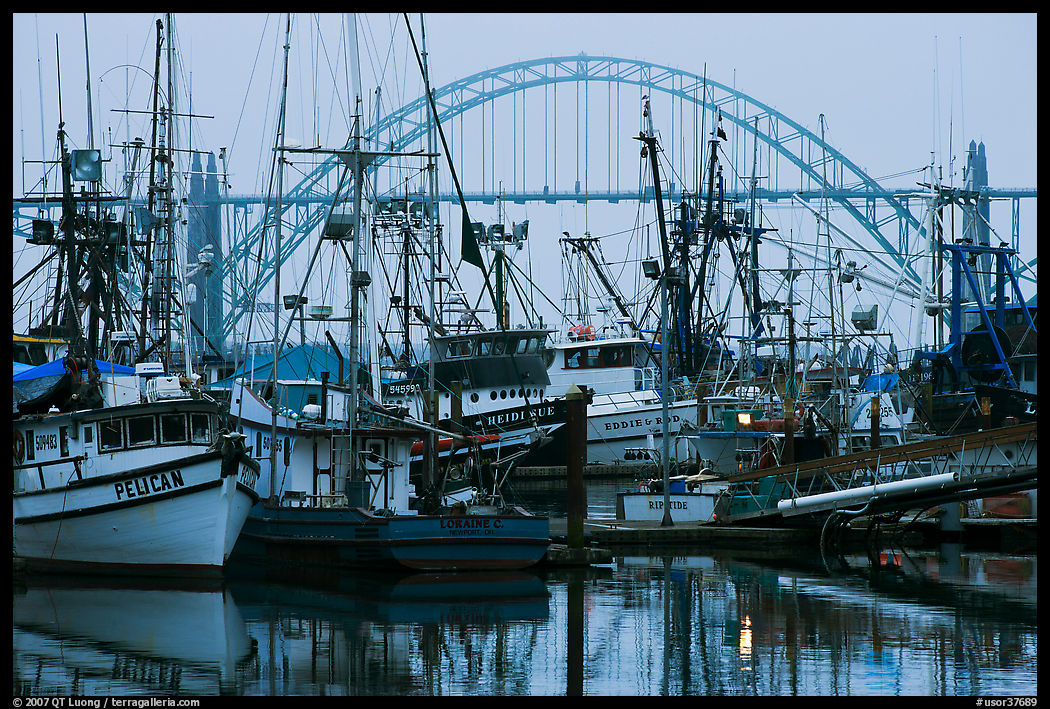 Commercial fishing boats and Yaquina Bay Bridge at dawn. Newport, Oregon, USA