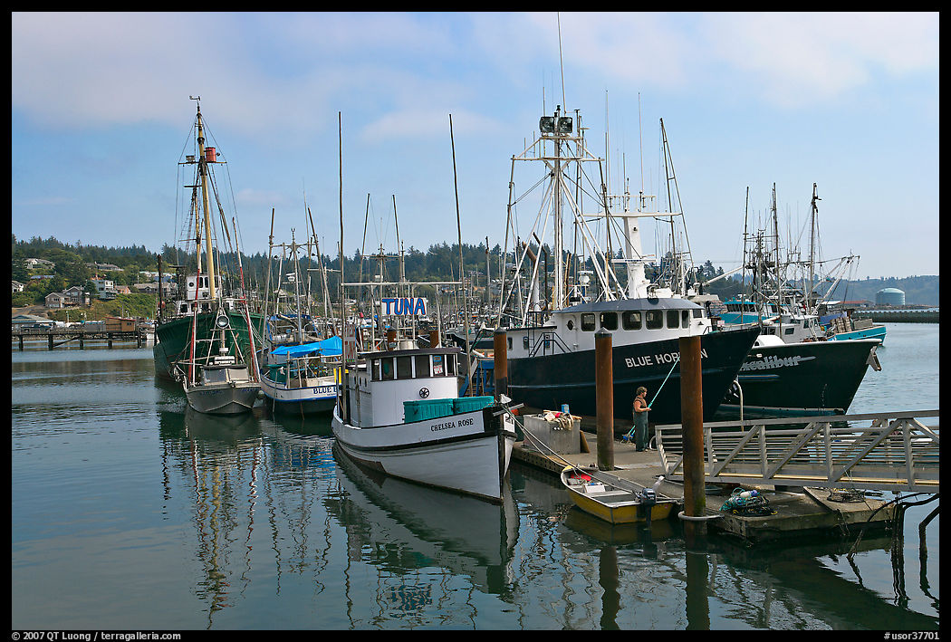 Commercial fishing boats. Newport, Oregon, USA