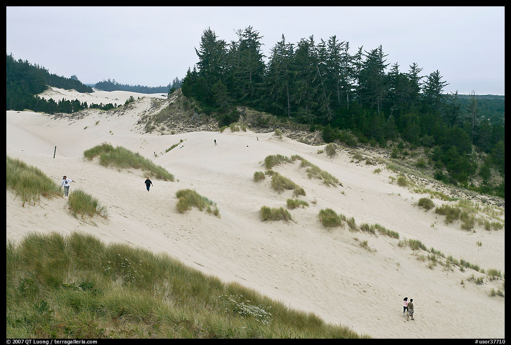 Dunes and visitors, Oregon Dunes National Recreation Area. Oregon, USA