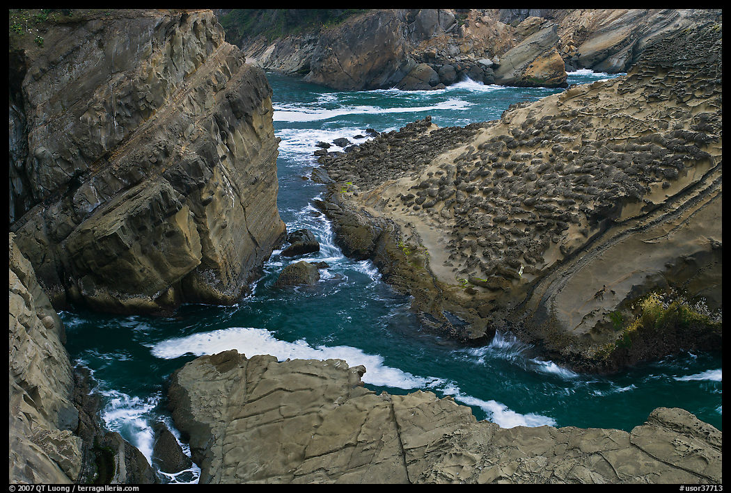 Cliffs and slabs, Shore Acres. Oregon, USA