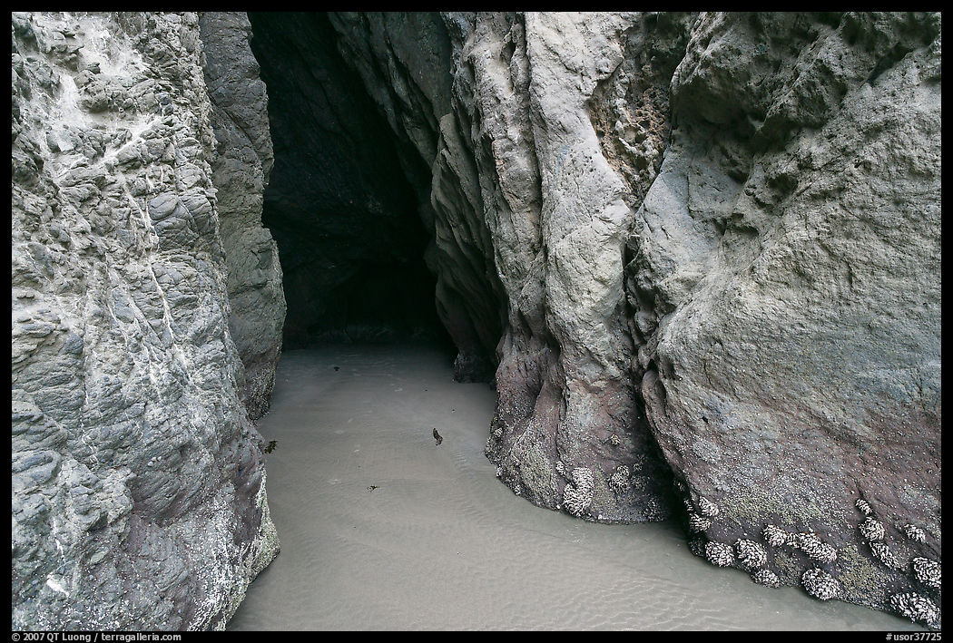 Entrance to sea cave. Bandon, Oregon, USA