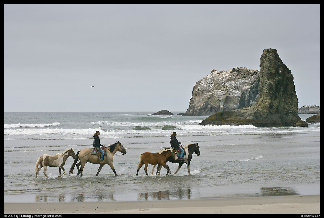 Women ridding horses on beach. Bandon, Oregon, USA