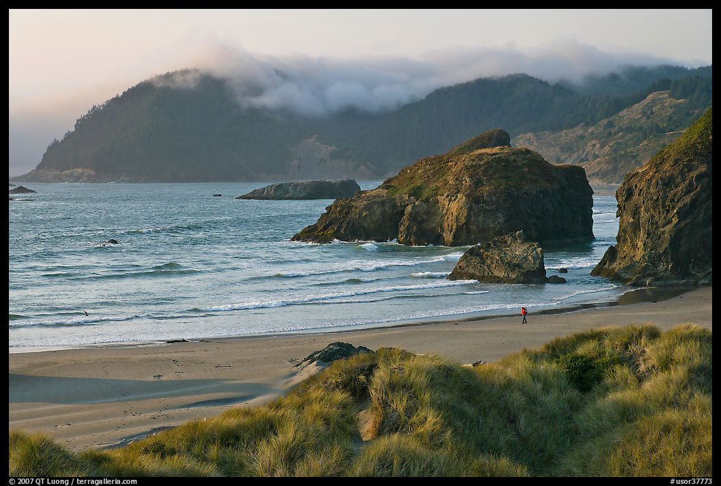Solitary figure on beach, Pistol River State Park. Oregon, USA