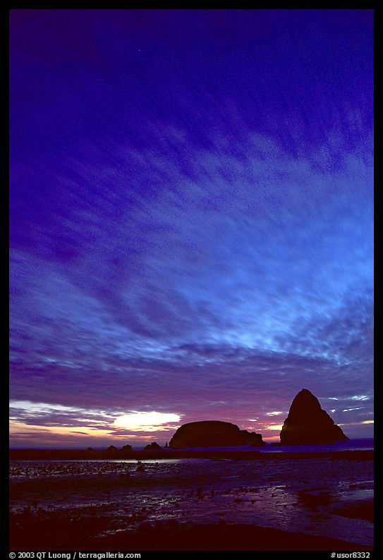 Seastack at sunset. Oregon, USA