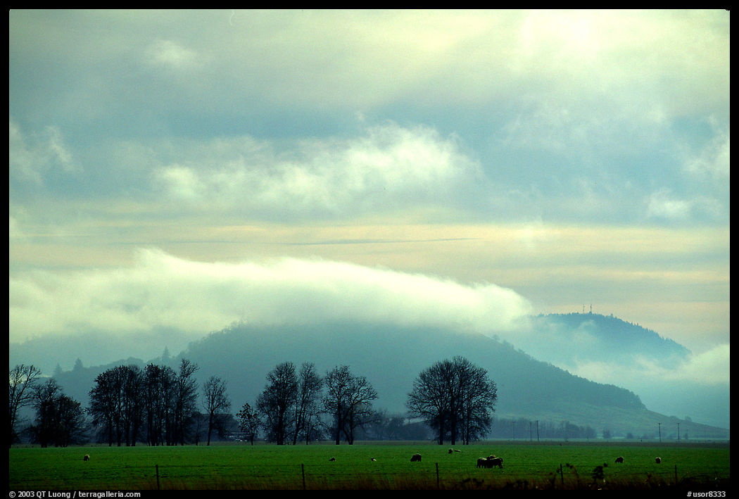 Trees and foothills. Oregon, USA