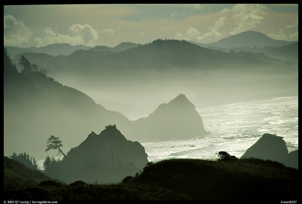 Rugged Coastline, late afternoon, Hamburg Mountain State Park. Oregon, USA
