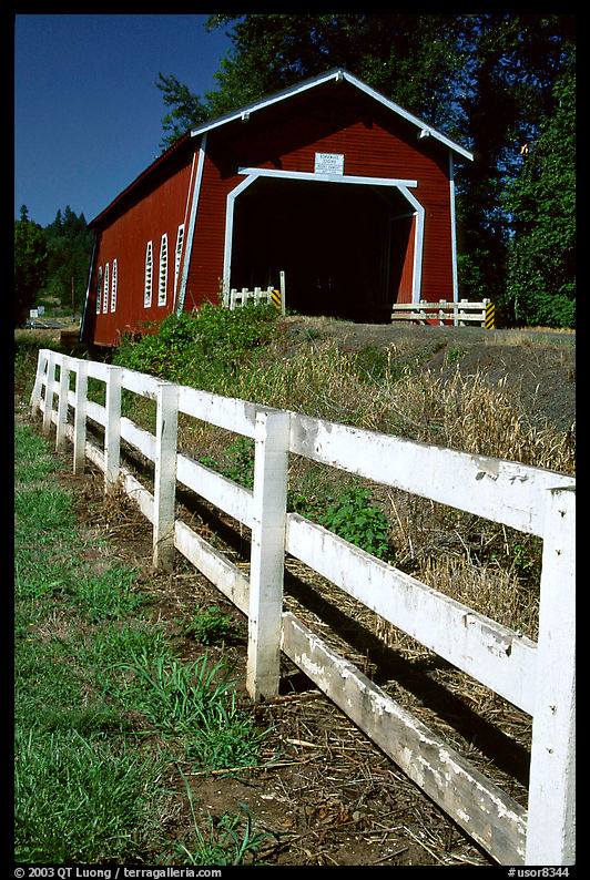 Fence and red covered bridge, Willamette Valley. Oregon, USA