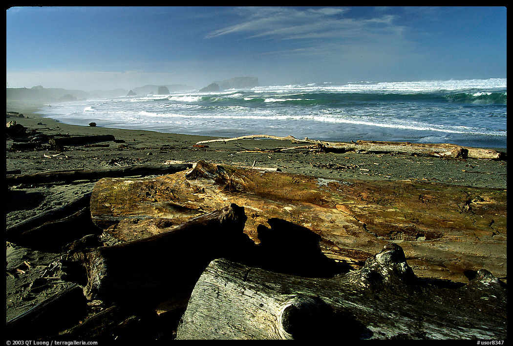 Beach with driftwood. Bandon, Oregon, USA