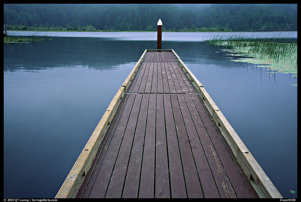 Deck in a coastal lagoon. Oregon, USA