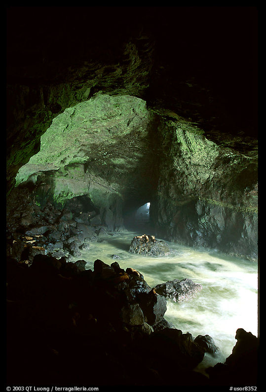 Sea Lion cave. Oregon, USA