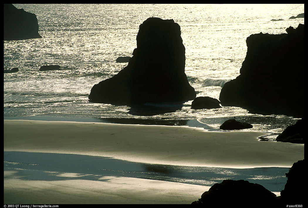 Rocks, water reflections, and beach, late afternoon. Bandon, Oregon, USA