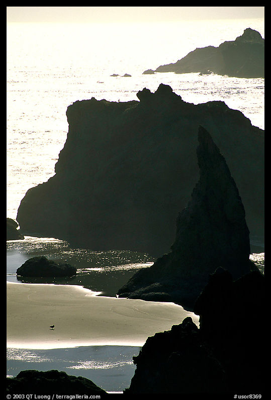 Seastacks, reflections, and beach, late afternoon. Bandon, Oregon, USA