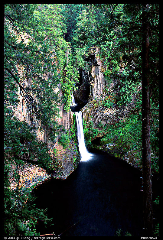 Toketee Falls. Oregon, USA