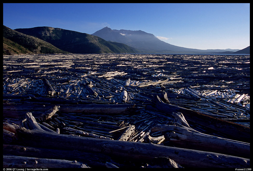 Knocked tree trunks cover Spirit Lake. Mount St Helens National Volcanic Monument, Washington