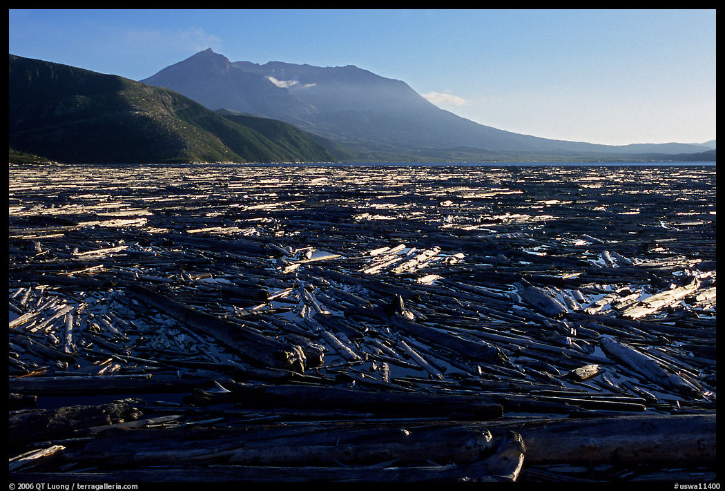 Enormousn tree mat cover Spirit Lake, and Mt St Helens. Mount St Helens National Volcanic Monument, Washington