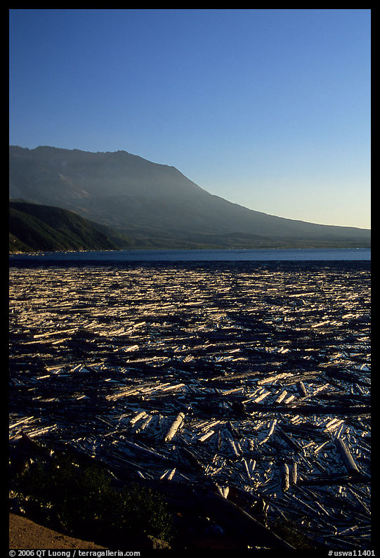 Layer of dead trees on Spirit Lake, and Mt St Helens. Mount St Helens National Volcanic Monument, Washington