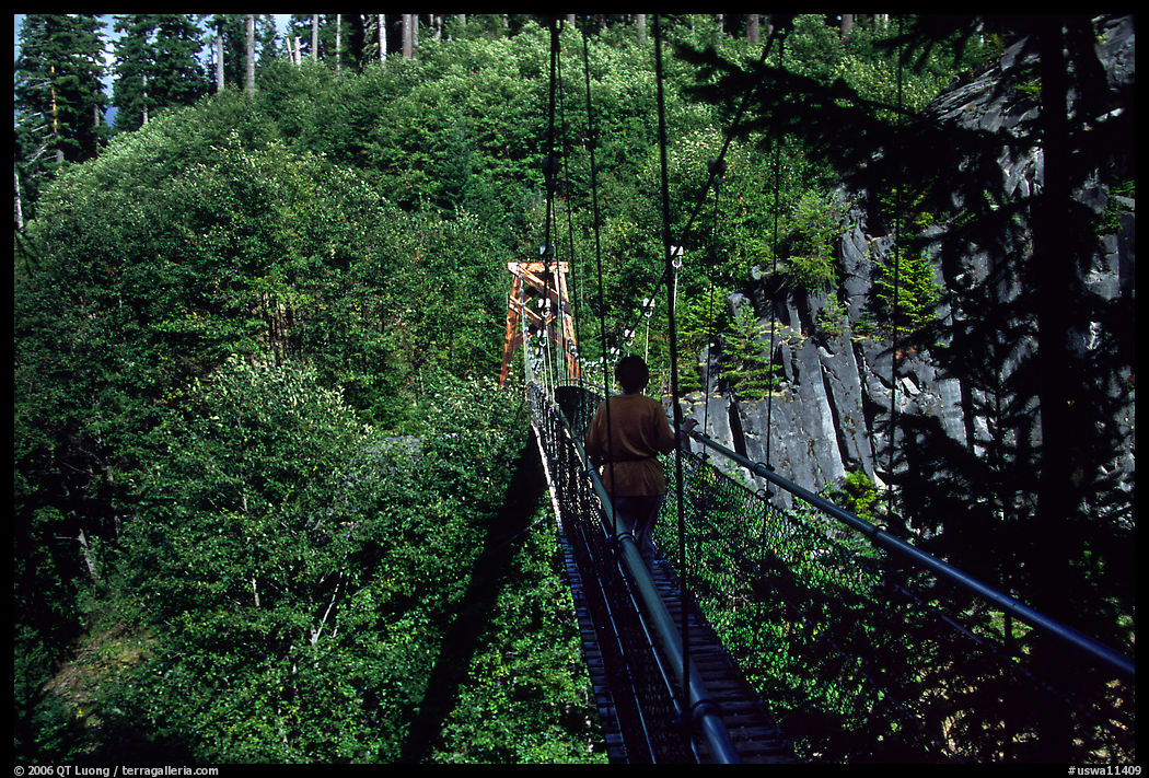 Hiker walks on suspension bridge, Lava Canyon. Mount St Helens National Volcanic Monument, Washington