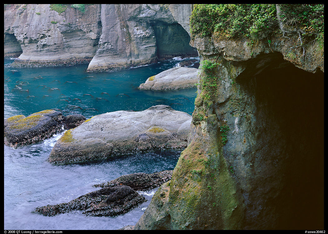 Sea caves and cliffs, Cape Flattery, Olympic Peninsula. Olympic Peninsula, Washington
