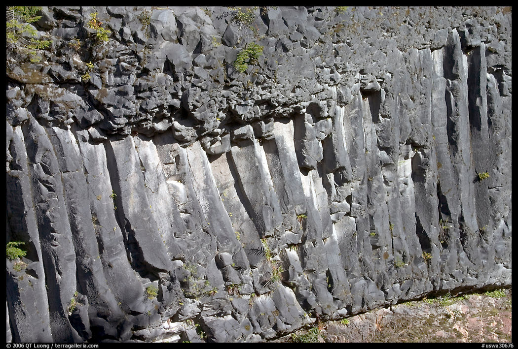 Columns of hardened basalt in lava cake, Lava Canyon. Mount St Helens National Volcanic Monument, Washington