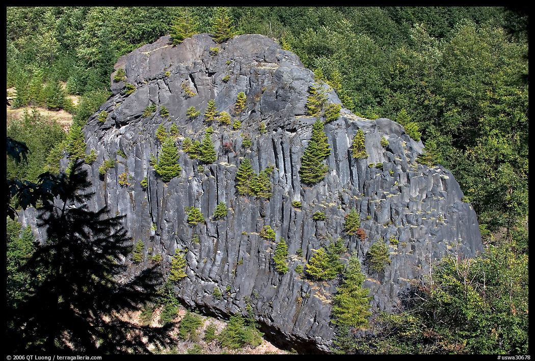 Bloc of columnar basalt, Lava Canyon. Mount St Helens National Volcanic Monument, Washington