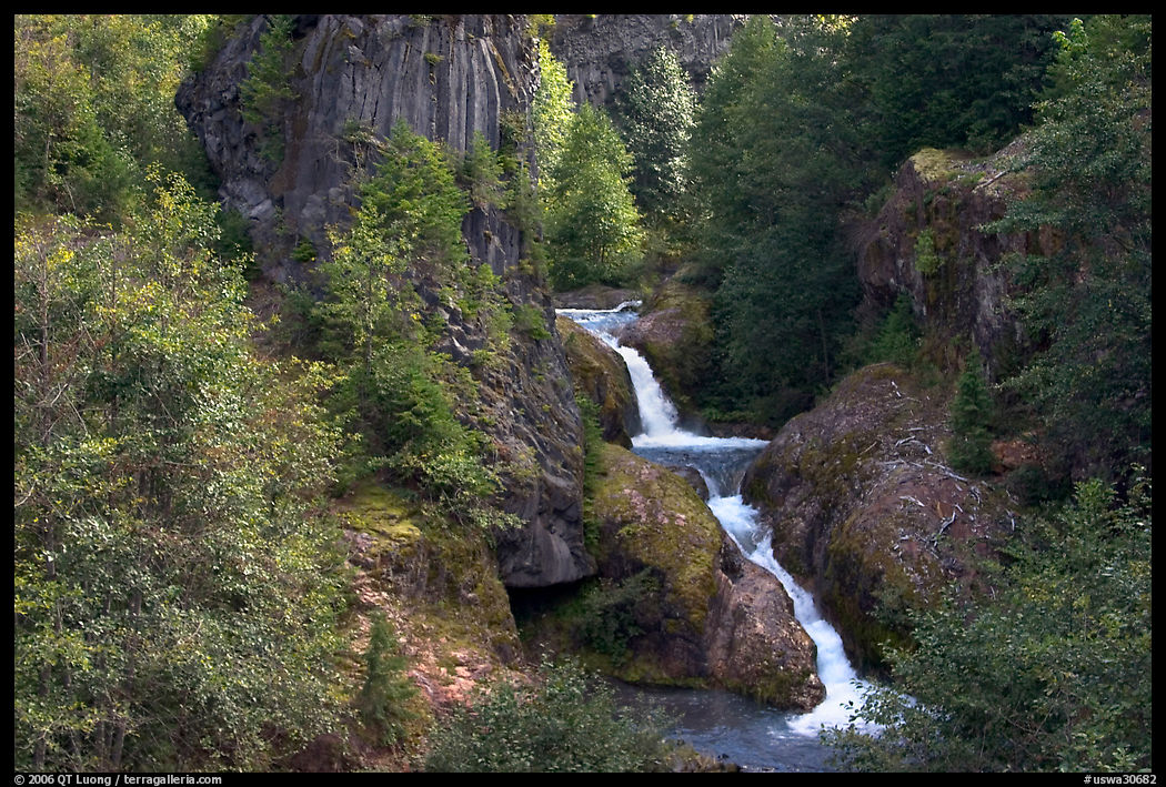 Muddy River spills over basalt falls in Lava Canyon. Mount St Helens National Volcanic Monument, Washington