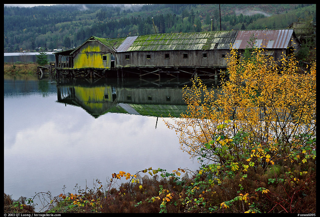 Old wooden pier, Olympic Peninsula. Olympic Peninsula, Washington