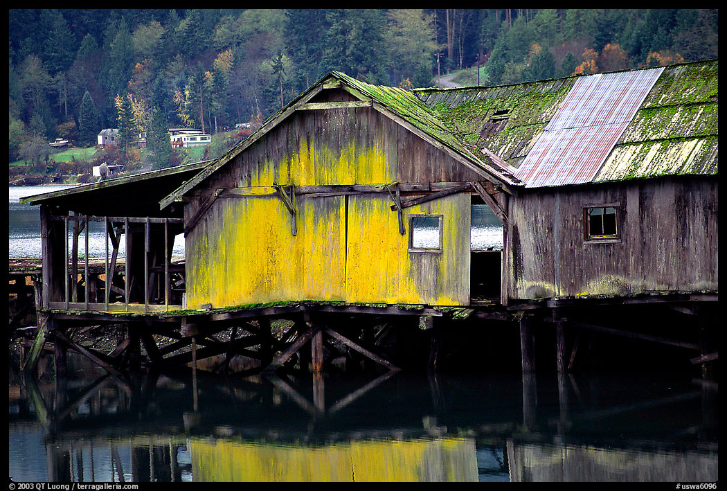 Old wooden pier, Olympic Peninsula. Olympic Peninsula, Washington