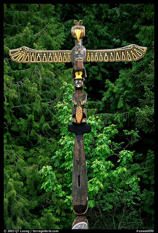 Totem Pole, Olympic Peninsula. Olympic Peninsula, Washington
