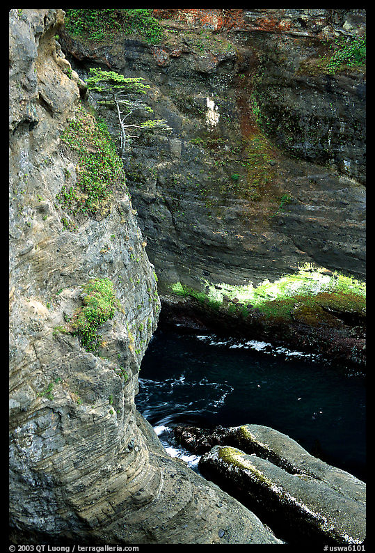Sea cliffs, Cape Flattery, Olympic Peninsula. Olympic Peninsula, Washington