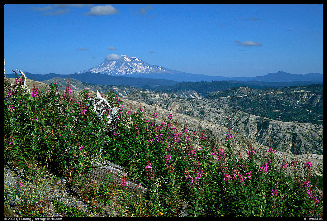 View over Cascade range with Snowy volcano. Mount St Helens National Volcanic Monument, Washington