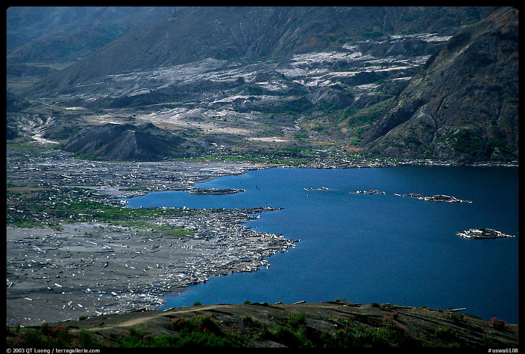 Spirit Lake, partly covered with floating logs. Mount St Helens National Volcanic Monument, Washington