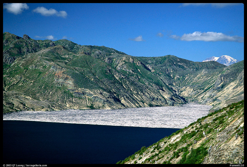 Spirit Lake, partly covered with floating logs. Mount St Helens National Volcanic Monument, Washington