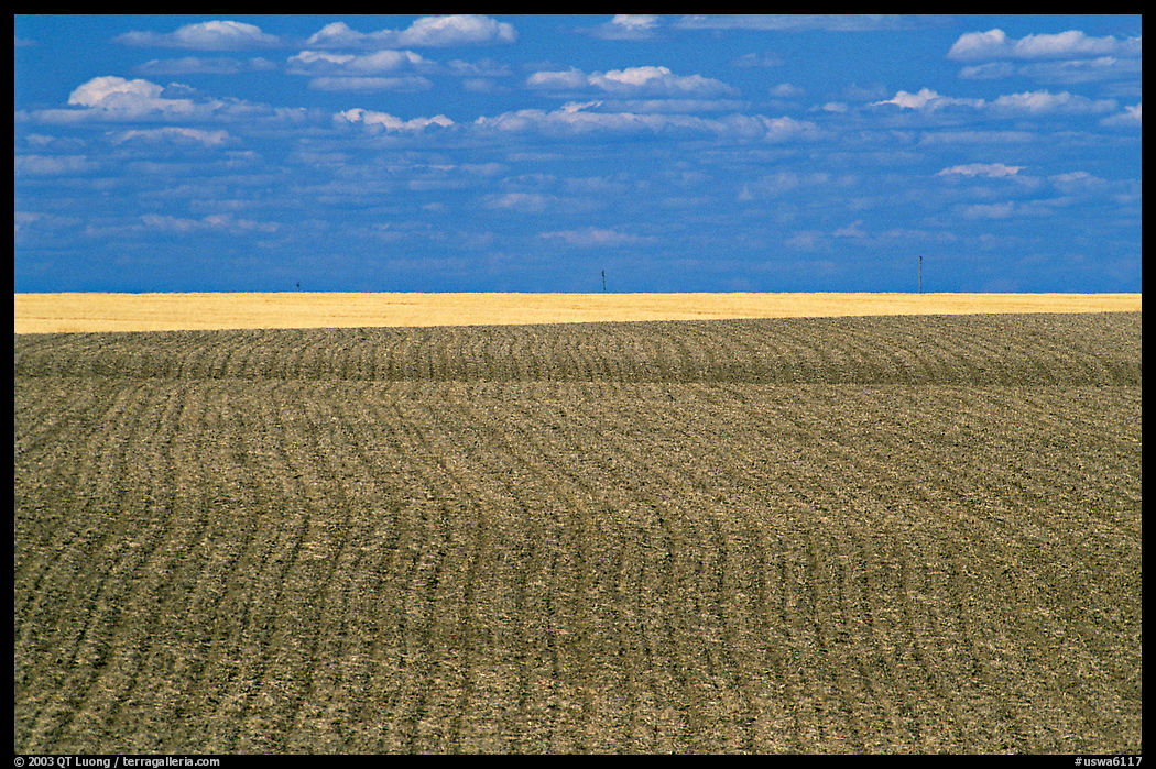 Field with plowing lines, The Palouse. Washington