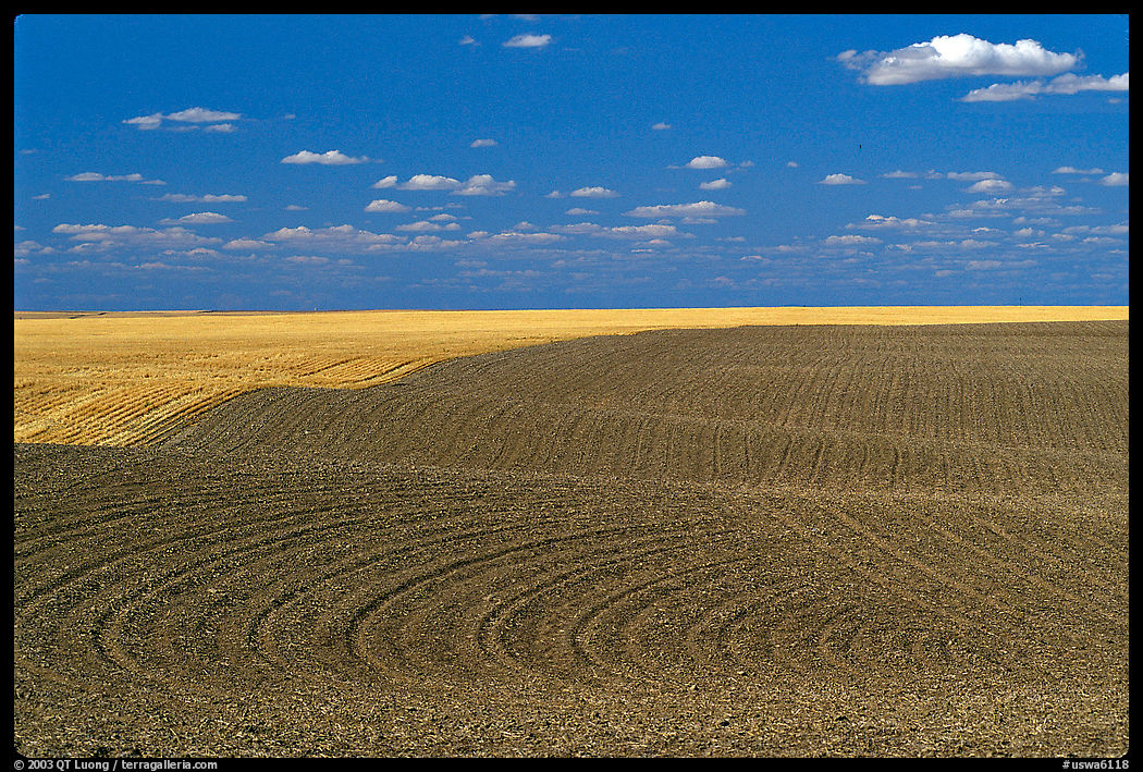 Field with curved plowing patterns, The Palouse. Washington