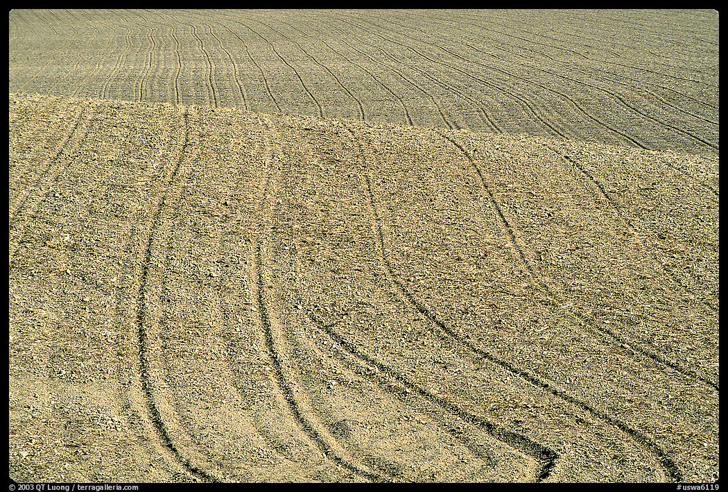 Field with curved plowing lines, The Palouse. Washington