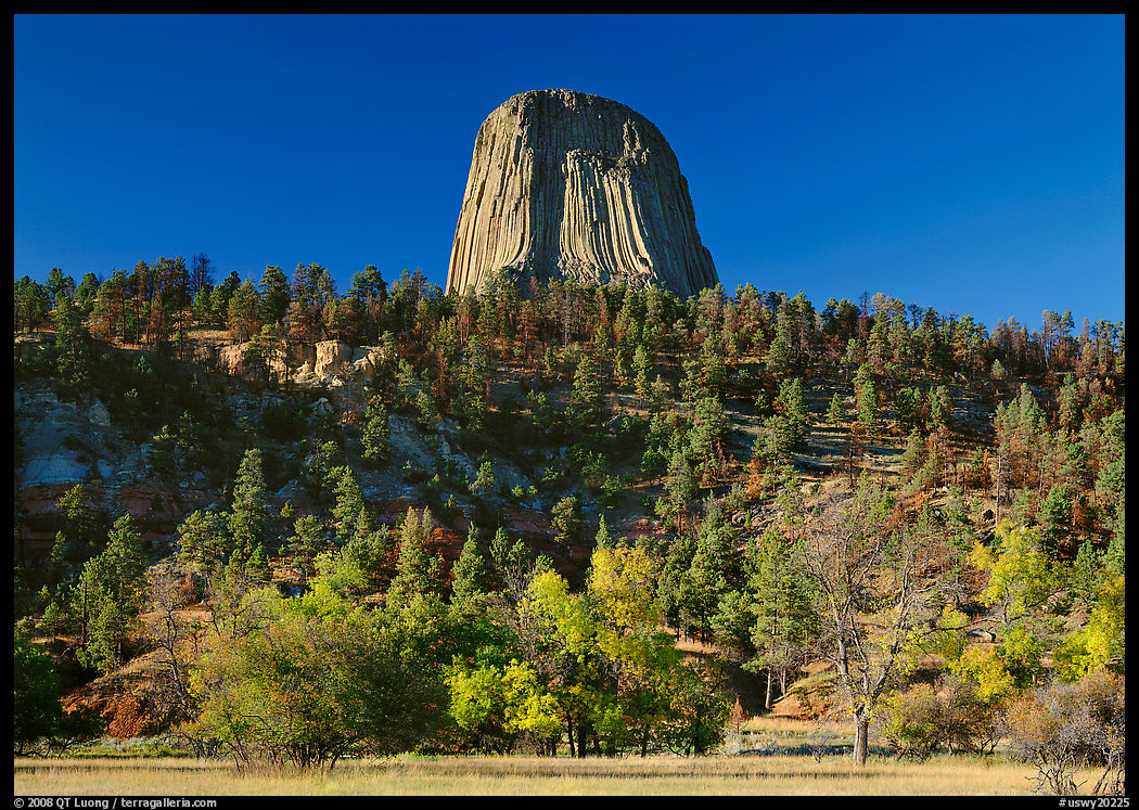 Devils Tower rising above forested slope. Wyoming, USA