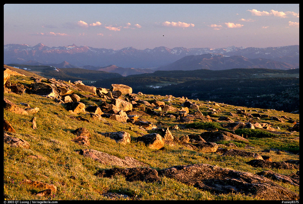 Alpine meadow and rocks, late afternoon, Beartooth Range, Shoshone National Forest. Wyoming, USA