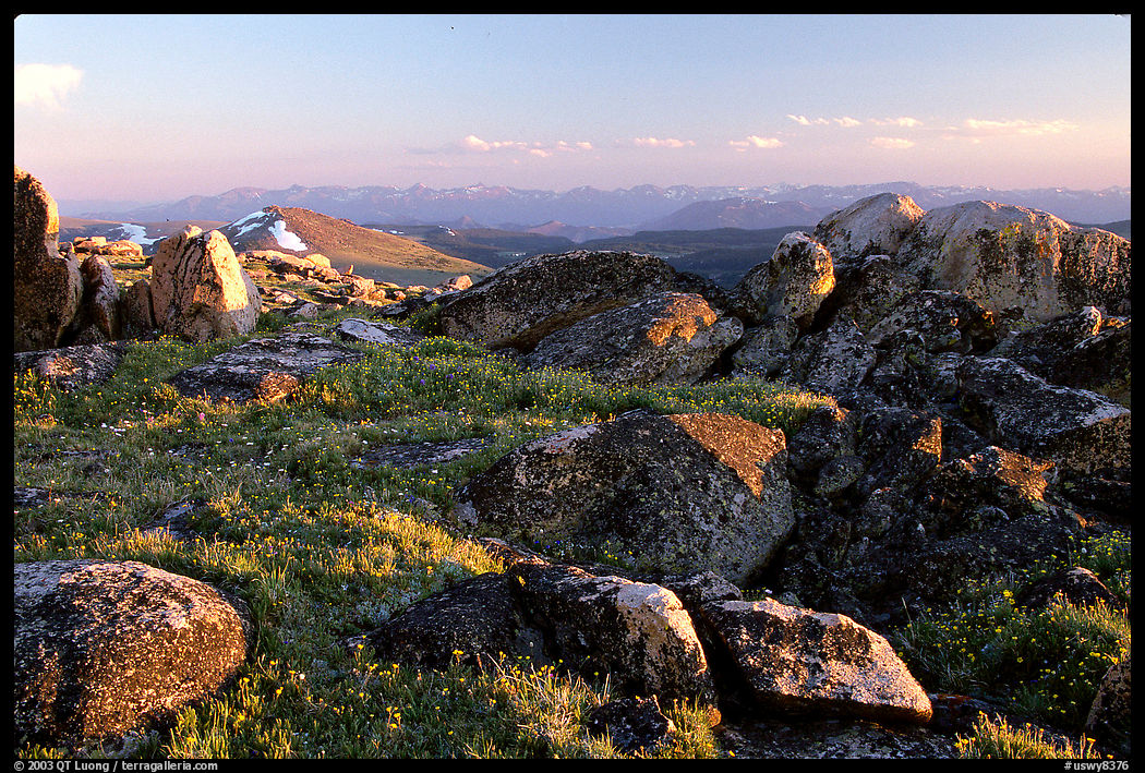 Alpine meadow and rocks, late afternoon, Beartooth Range, Shoshone National Forest. Wyoming, USA