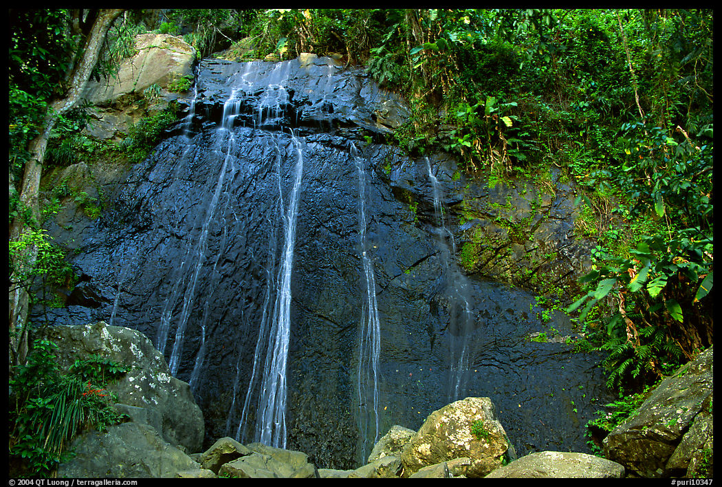 La Coca Falls, El Yunque, Carribean National Forest. Puerto Rico