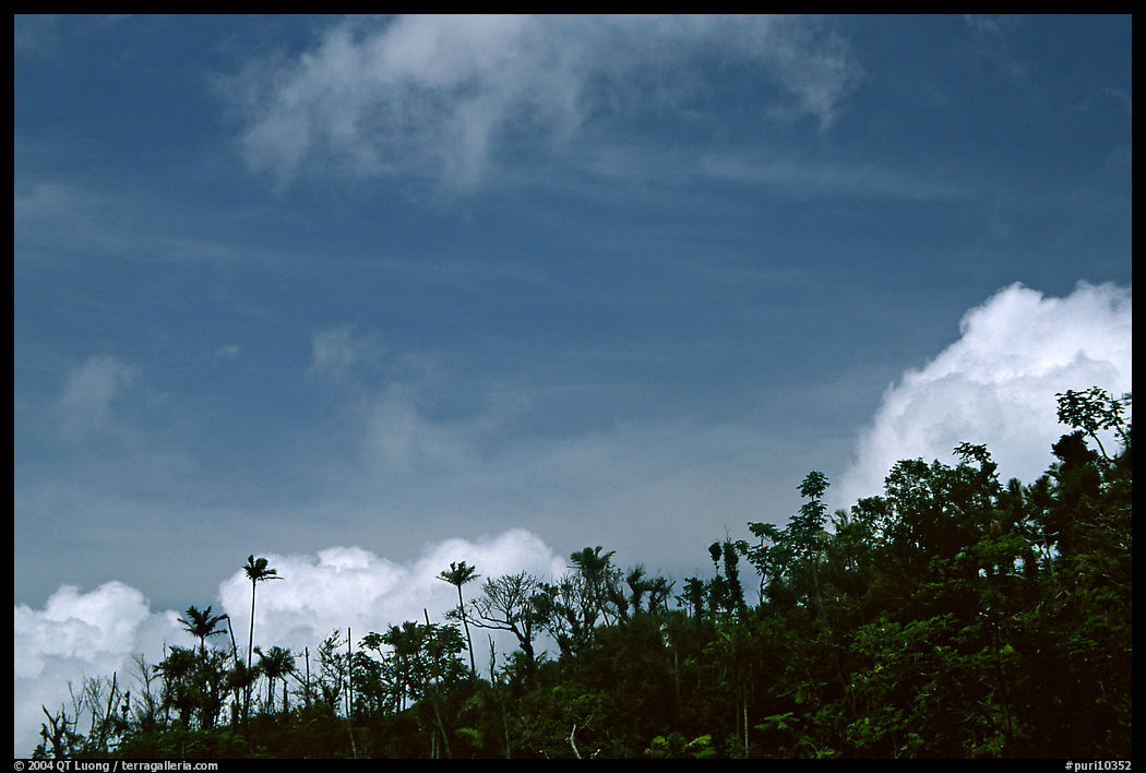 Clouds and trees. Puerto Rico