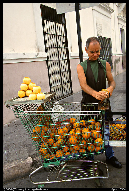 A man peels oranges to make an orange drink, which is drunk from the fruit itself, Ponce. Puerto Rico