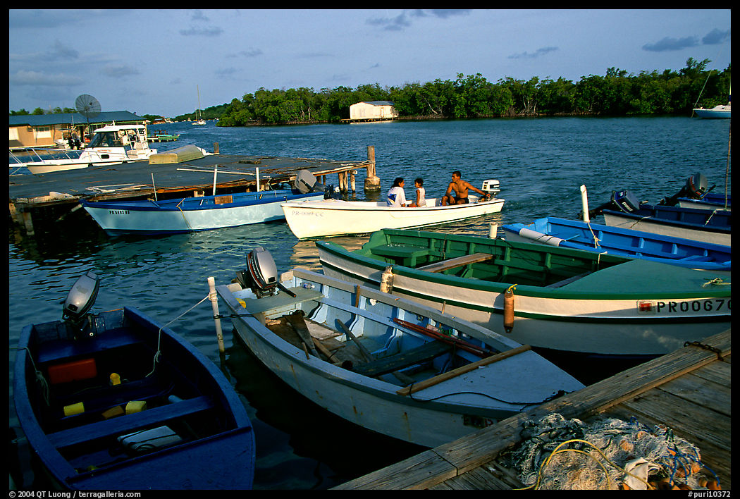 Small boats on a mangrove-covered cost, La Parguera. Puerto Rico