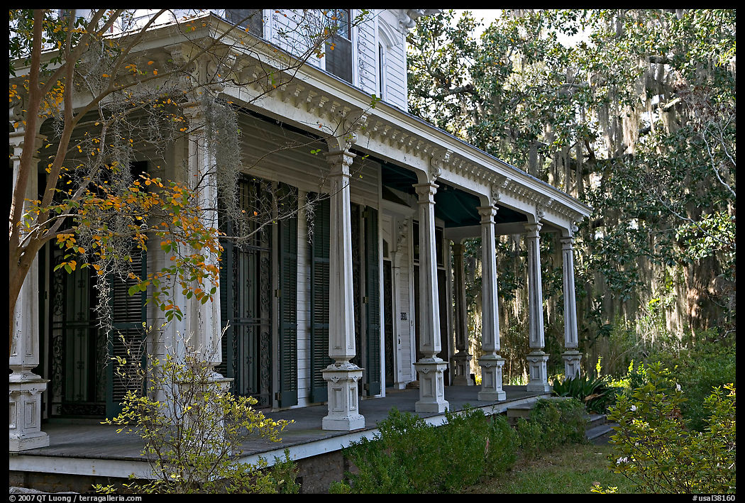 House and trees with Spanish moss in frontyard. Selma, Alabama, USA