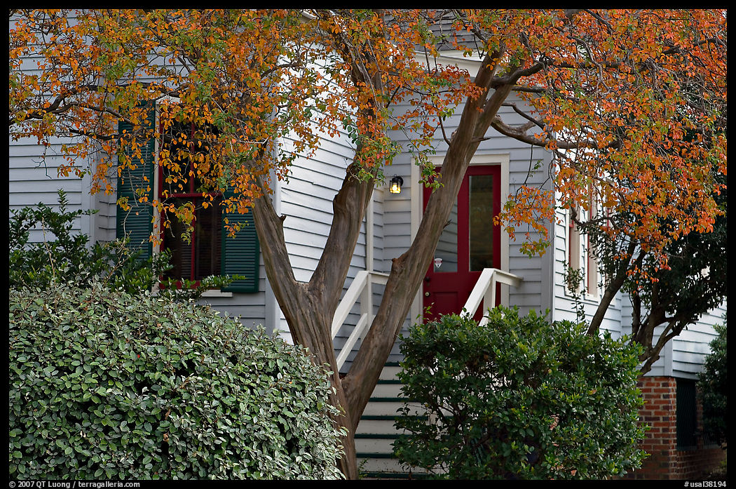 Tree in fall color and house. Montgomery, Alabama, USA