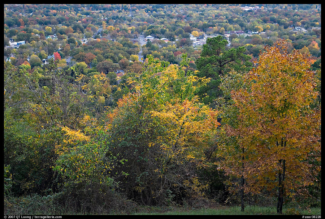 Trees in fall colors and city. Hot Springs, Arkansas, USA